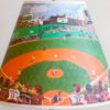 Red Sox Lampshade - Day Game
