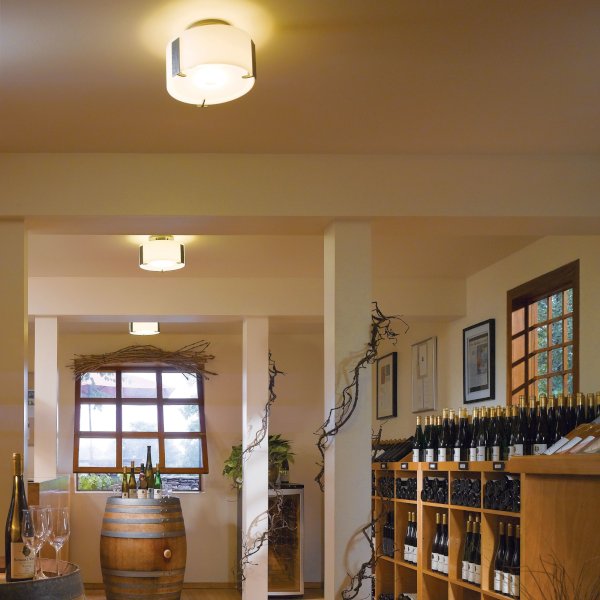 Impressions Flush Mount Ceiling Fixture from Hubbardton Forge