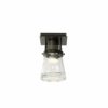 Hubbardton Forge Erlenmeyer 1 Light Semi-Flush