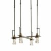 Hubbardton Forge Erlenmeyer 4 Light Pendant