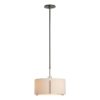 Hubbardton Forge Exos Single Shade Pendant