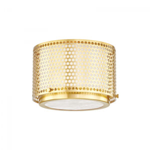 1 LIGHT FLUSH MOUNT 5910 AGB
