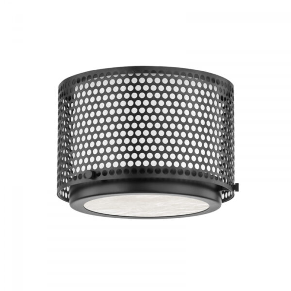 1 LIGHT FLUSH MOUNT 5910 BBR