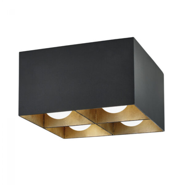 Troy Felix Flush Mount C2504 TBK WSL
