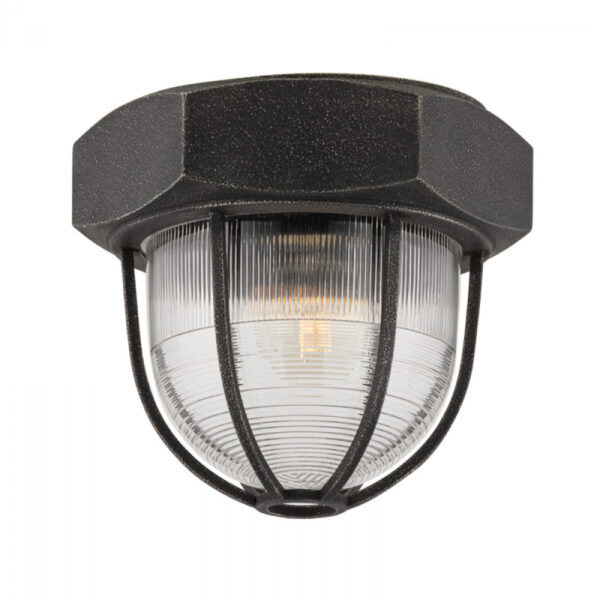 Troy Acme Flush Mount C3891 APW