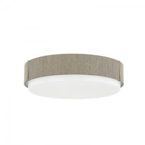 Troy ZANE Flush Mount C4514 PBR
