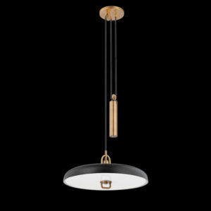Troy PLUMMET Pendant F1618 PBR SBK