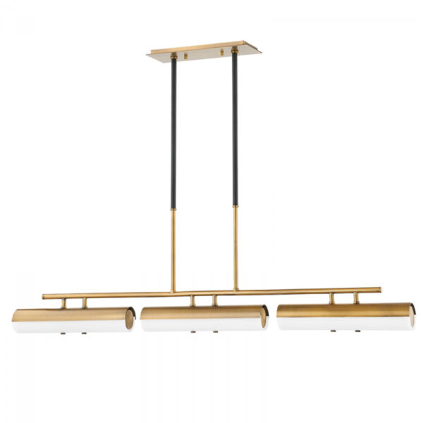 Troy TITUS Linear Chandelier F3248 PBR SBK