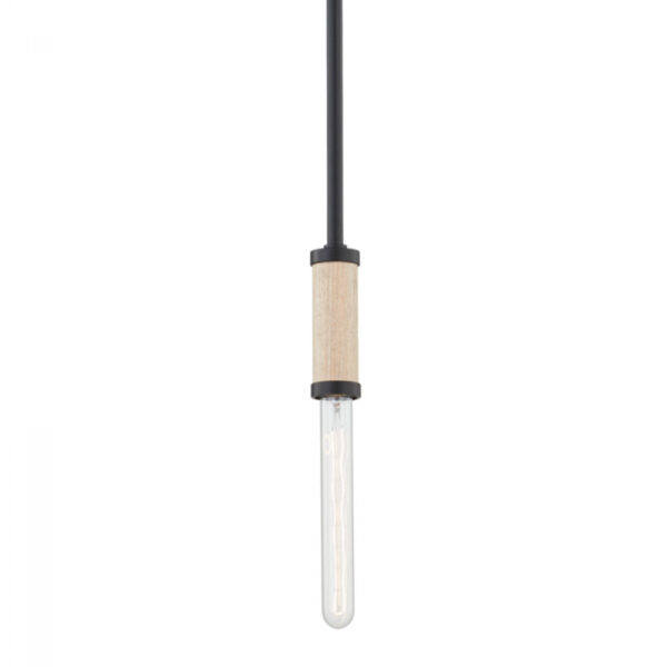 Troy Cruiz Pendant F6701 SBK