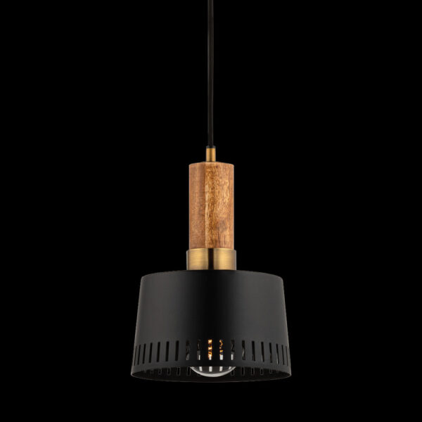 Troy MEMPHIS Pendant F8608 PBR SBK