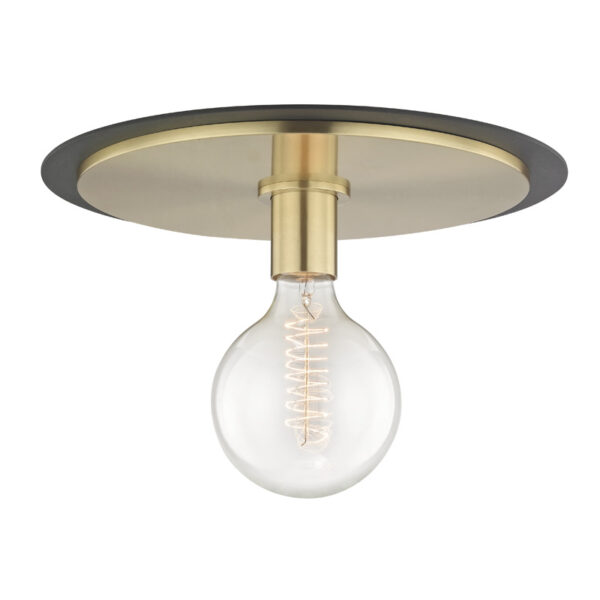 Mitzi by Hudson Valley Lighting Milo Flush Mount H137501L AGB BK