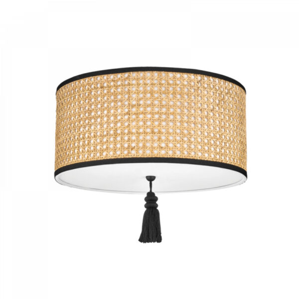 Mitzi by Hudson Valley Lighting Dolores Flush Mount H520502 SBK