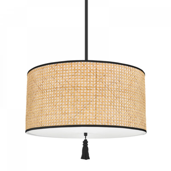 Mitzi by Hudson Valley Lighting Dolores Pendant H520703 SBK