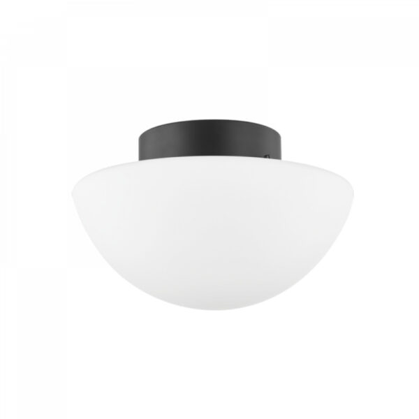 Mitzi by Hudson Valley Lighting Andrea Flush Mount H611501 SBK