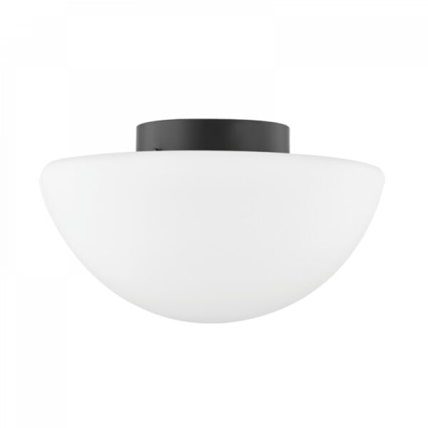 Mitzi by Hudson Valley Lighting Andrea Flush Mount H611502 SBK