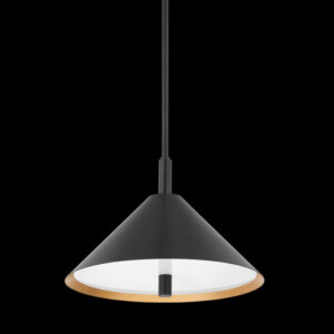 Mitzi by Hudson Valley Lighting BRIANNA Pendant H629702 GL SBK