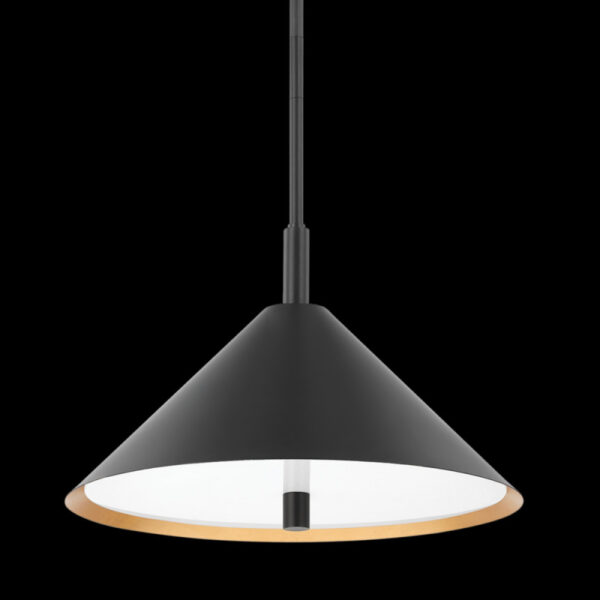 Mitzi by Hudson Valley Lighting BRIANNA Pendant H629703 GL SBK