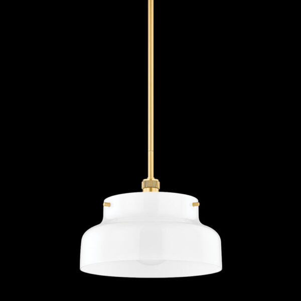 Mitzi by Hudson Valley Lighting LUELLA Pendant H790701L AGB
