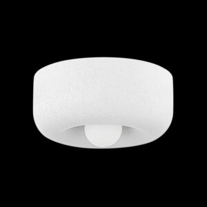 Mitzi by Hudson Valley Lighting DORIS Flush Mount H799501 AGB CTW