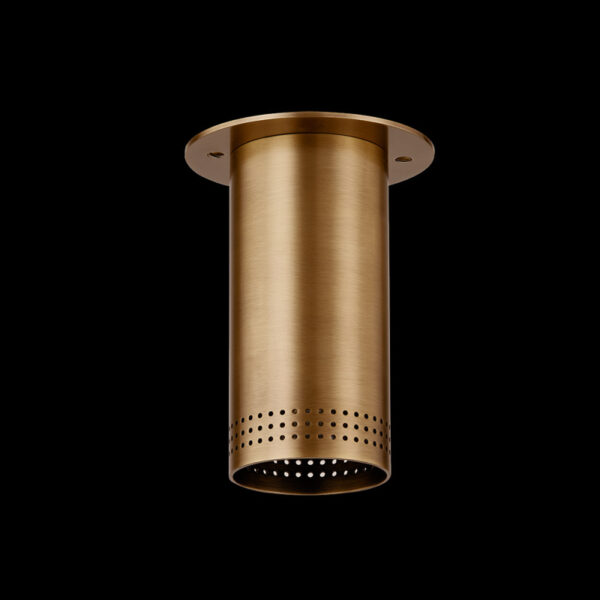 Troy Berg Flush Mount C1505 PBR