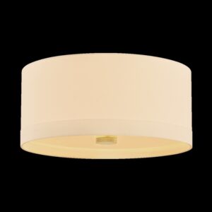 Ashland Flush Mount 8922 AGB