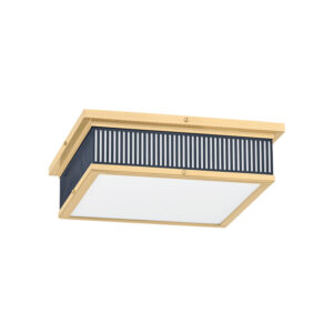 Ashdown Flush Mount MDS1900 AGB DBL